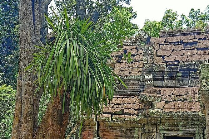 Private Angkor Wat Guided Sunset Tour - Elephant and Leper King Terraces: Smaller Stops With Real Meaning