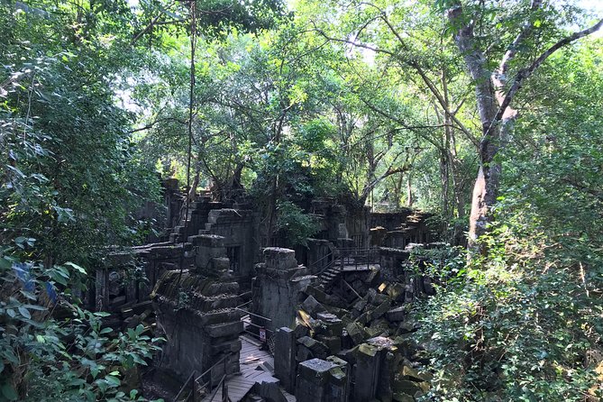 Private Beng Mealea Temple Tour – Hidden Jungle Ruins - Value for $68: When This Private Tour Makes Sense