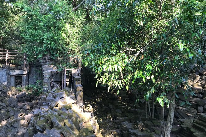 Private Beng Mealea Temple Tour – Hidden Jungle Ruins - Timing Matters: Morning 8:00 AM vs Afternoon 2:00 PM
