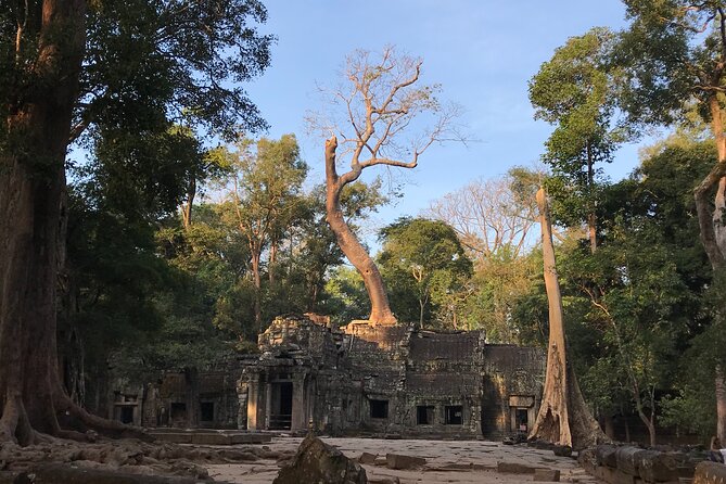 Private Guided Angkor Wat Tour by Lady Tuk Tuk with Monk Blessing - Stop 2: Ta Prohm, the jungle-root temple, before it gets crowded