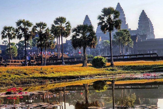 Private Guided Tours-Sunrise Angkor Wat, Ta Prohm, Bayon and more - Phimeanakas and Baphuon: viewpoints worth the climb
