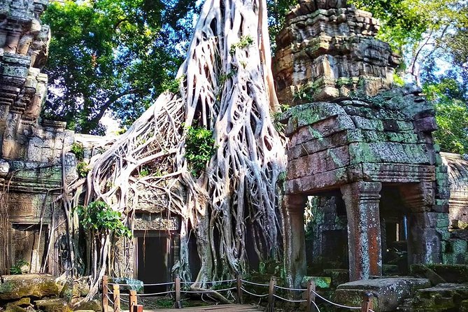 Private Guided Tours-Sunrise Angkor Wat, Ta Prohm, Bayon and more - Price, the site pass, and the real value math