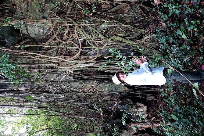 Private Kampot Countryside Tour & Pepper farm, Kep/Crab Market - Price and value: why $55 per group up to 2 can make sense