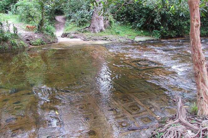 Private Kulen Mountain and Beng Mealea Temple Tour - Beng Mealea jungle ruins, and the Angkor Pass catch