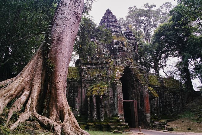 Private One Day Trip-The Best Experience in Siem Reap - Stop 1: Bayon Temple and the South Gate entry into Angkor Thom