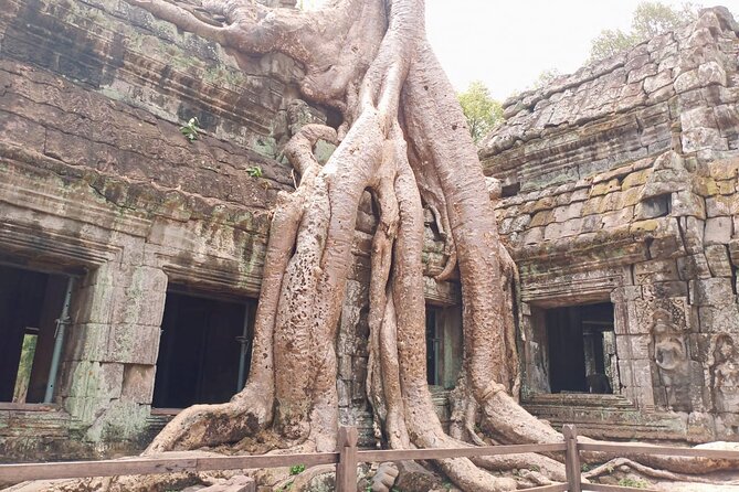 Private One Day Trip-The Best Experience in Siem Reap - Who this tour suits best