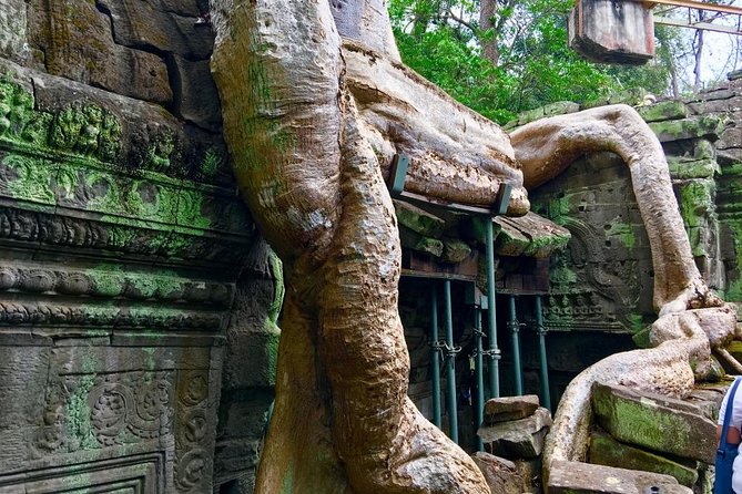 Private Siem Reap 4 Days: Full Exploration of the Angkor Complex - Booking Notes That Actually Matter on the Ground