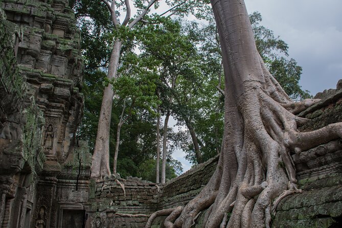 Private Siem Reap Airport Transfer to hotel in town - The 50 km Ride into Krong Siem Reap: Comfort and Timing That Fits Real Life