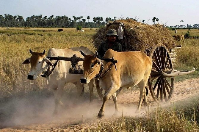 Private Siem Reap Quad Bike Adventure - Key takeaways before you book