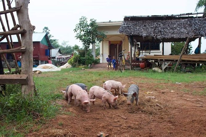 Private Siem Reap Quad Bike Adventure - Stop at Prasat Prei Monti: what that 15-minute temple break really means