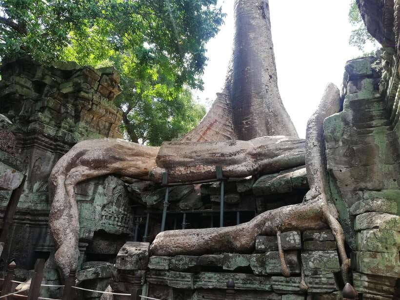 Private Sunrise Angkor Wat Tour - What to bring and what not to do at Angkor