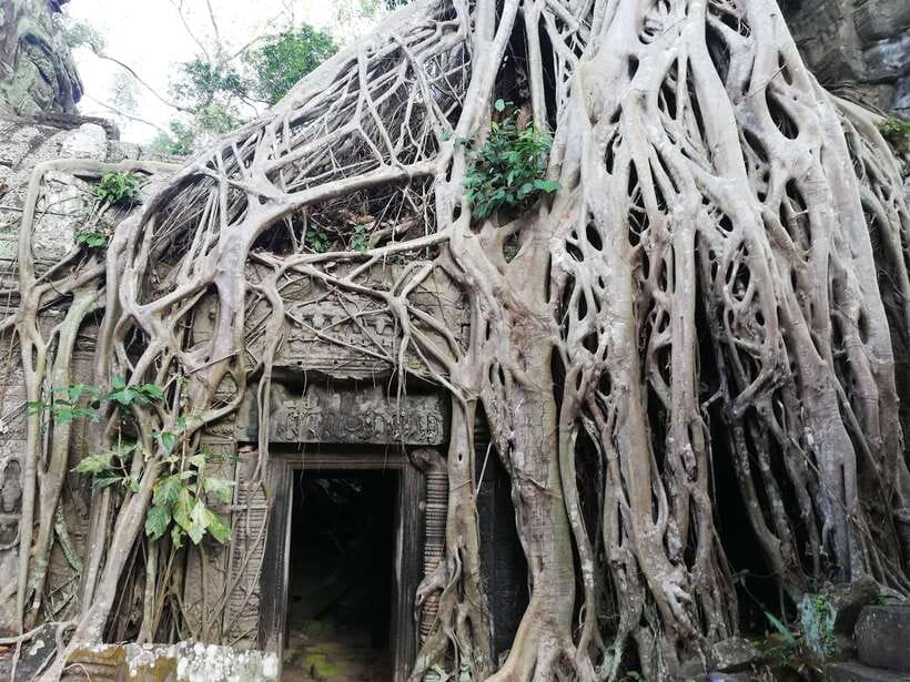Private Sunrise Angkor Wat Tour - Angkor Wat after sunrise: walking the levels without losing the story