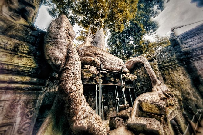 Private sunrise tour to Angkor Wat & other highlights with Professional Guide. - Your temple route: Angkor Wat to Bayon, with smart pacing
