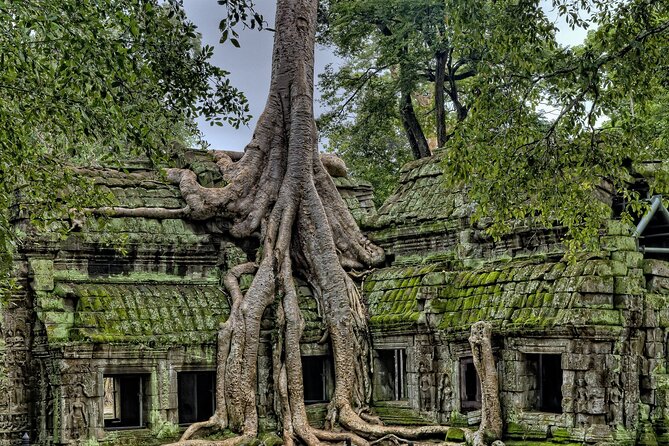 Private sunrise tour to Angkor Wat & other highlights with Professional Guide. - Price and temple pass math: what $65 really buys