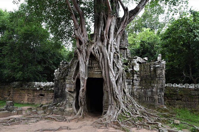 Private Taxi Siem Reap to Phnom Penh, Reliable Driver, Transfer - Choosing the Right Vehicle for Your Group Size