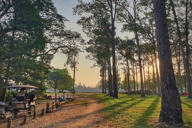 Private Temples Guided Tour (Angkor Wat, Ta Prom & Angkor Thom) - Sunrise at Angkor Wat, or a later start that still feels smooth