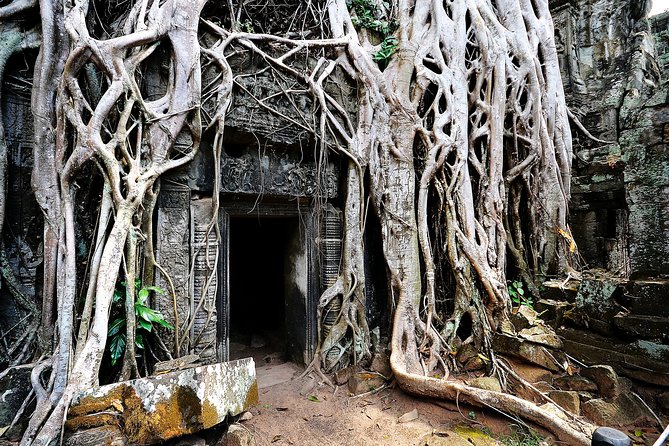 Private Temples Guided Tour (Angkor Wat, Ta Prom & Angkor Thom) - Pricing and entrance fees: what $75 really covers