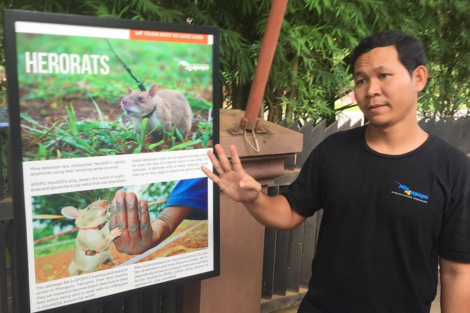 Private Tour: HERO Rats & Angkor National Museum - Price and what the $85 really covers in real life