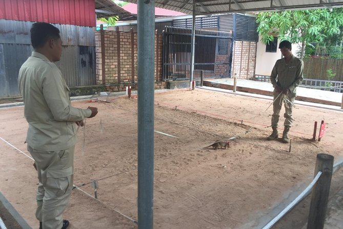 Private Tour: HERO Rats & Angkor National Museum - Timing, pickup, and pacing: making the day feel manageable
