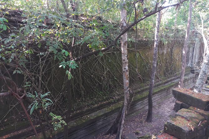 Private Tour to Beng Mealea Jungle Temple and Koh Ker - The road between temples: villages, markets, rice fields, and Khmer houses