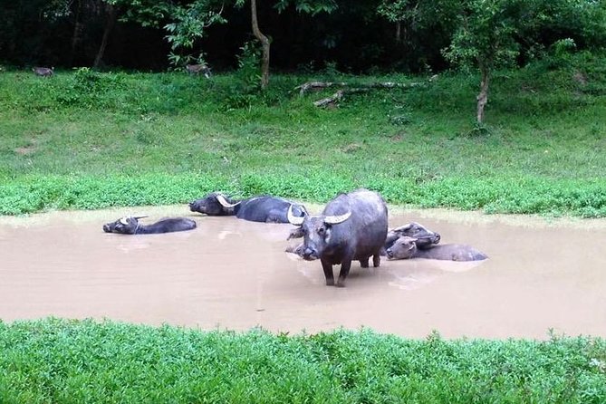 Private Tour to Kompong Phluk Off Beaten Track - Who should book this private off-beaten day