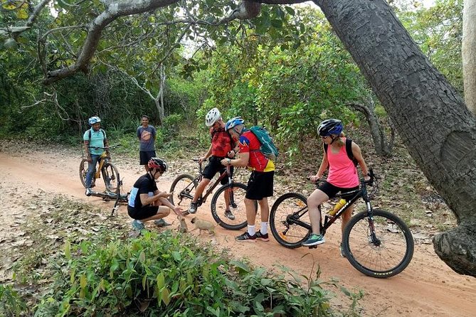 Rice Fields & Rural Villages Tour - Why this rural bike tour is a smart add-on in Siem Reap
