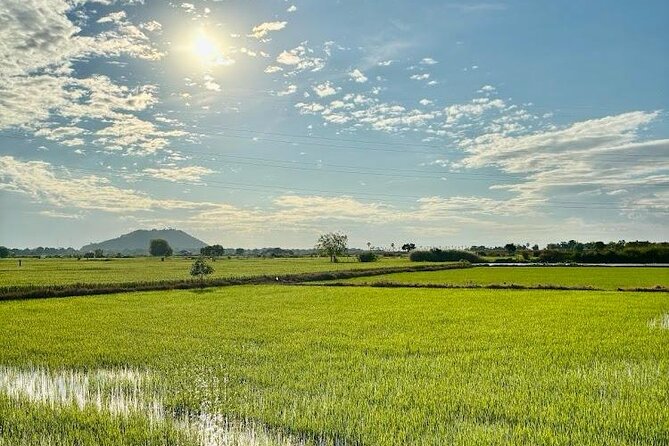 Rural Countryside Experience Tour in Siem Reap - Quick Hits Before You Go