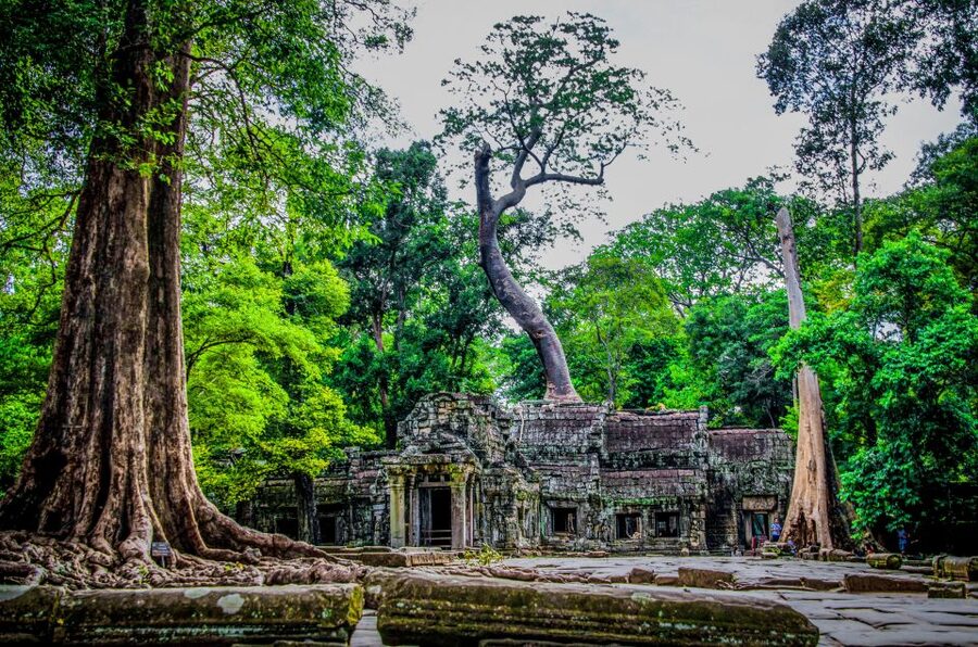 Seat-In-Coach: Small Circuit tour with Sunrise at Angkor Wat - Who this small-circuit sunrise tour fits best