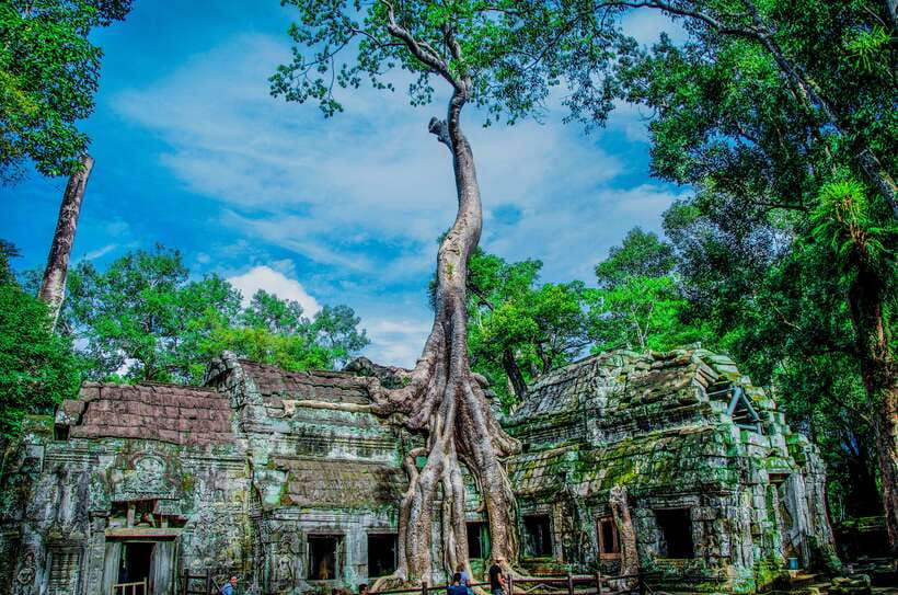 Seat-In-Coach: Small Circuit tour with Sunrise at Angkor Wat - Angkor Wat in the half-light: what to focus on before it gets busy
