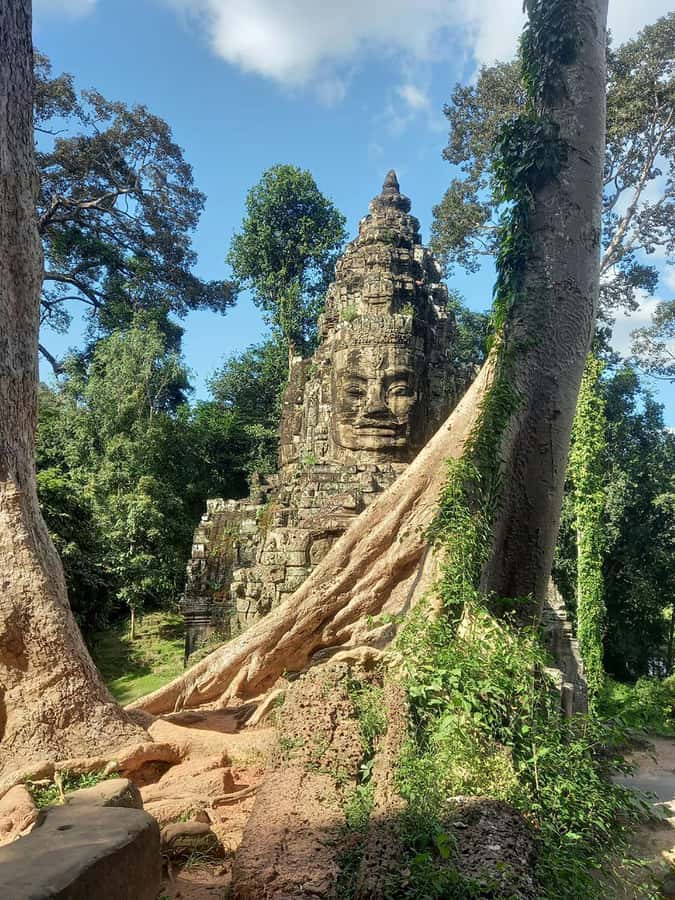 Shared day tour with Spanish-speaking guide at Angkor Temple. - Key moments to pay attention to