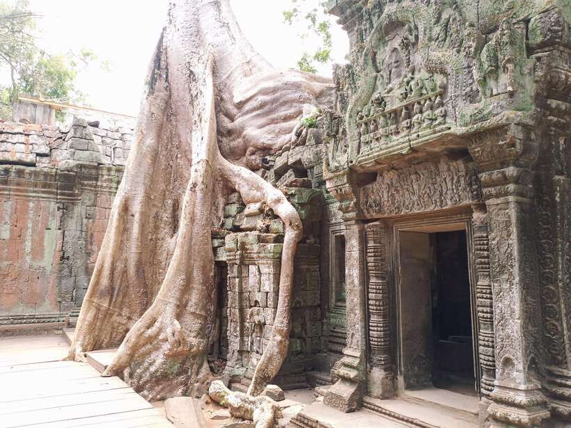 Sharing Trip to Angkor Temple with sunset - The people who will love this tour most