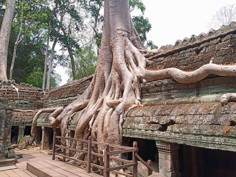 Sharing Trip to Angkor Temple with sunset - Hotel pickup to Angkor Wat, before the heat wins