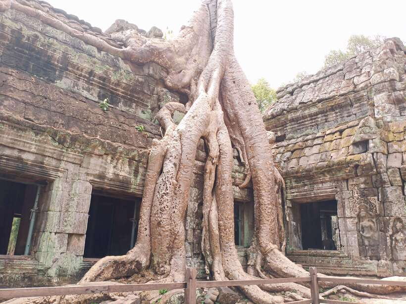 Sharing Trip to Angkor Temple with sunset - Skip-the-line, guide time, and what you actually get for $19