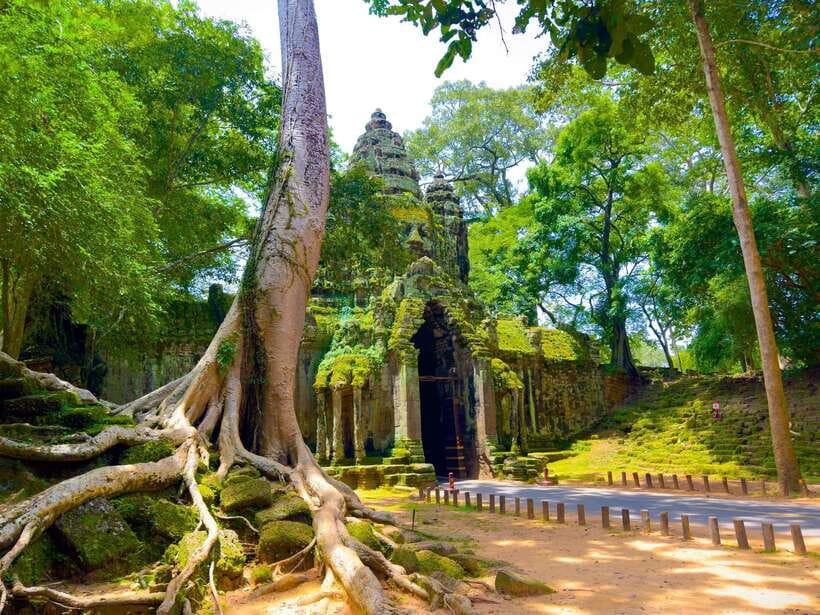 Siem Reap: 2-Days Angkor Wat with Sunrise Small-Group Tour - Day 2: Angkor Wat sunrise, Ta Prohm, and Bayon faces