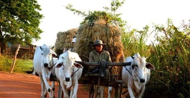 Siem Reap: 3-Hour Ancient Trails Motorbike Tour - Why These Ancient Trails Feel Different From Temples-Only Days