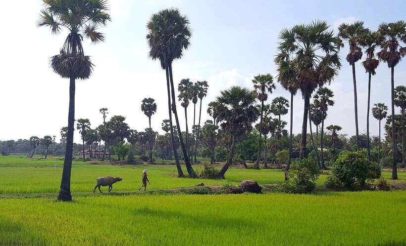 Siem Reap: 3-Hour Ancient Trails Motorbike Tour - Who This Siem Reap Motorbike Tour Is Best For