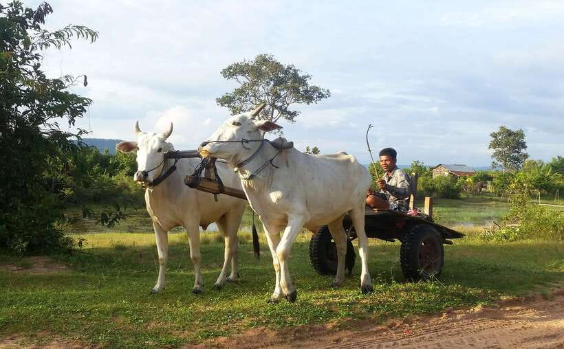 Siem Reap: 6-Hour Easy Rider Motorbike Tour - Weather, sun, and riding comfort: the “plan for it” section