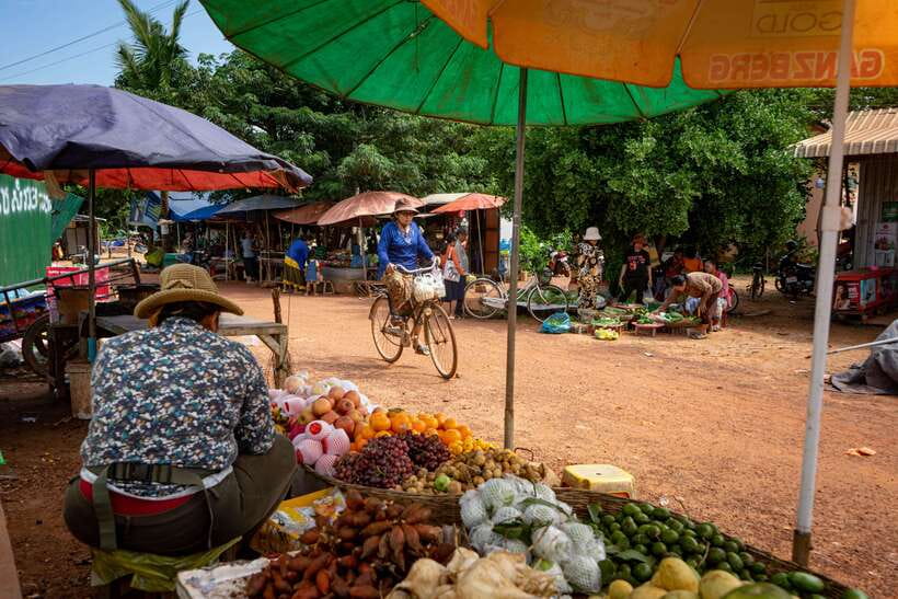 Siem Reap: Afternoon Cooking Class & Village Tour - Key highlights