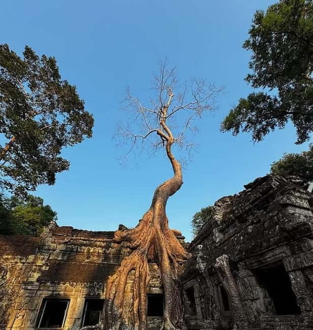 Siem Reap: Angkor 1-Day Private Tour with Sunset or Sunrise - Private guide and transport, why it matters at Angkor