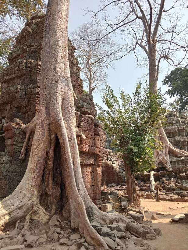 Siem Reap: Angkor Full-Day Group Tour with Japanese Guide - Pickup timing, ride comfort, and the value of small groups