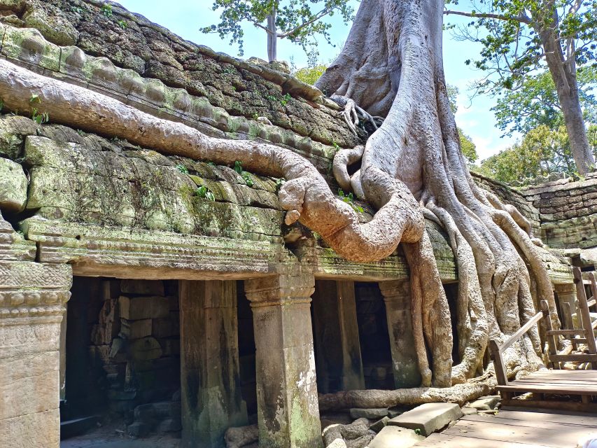 Siem Reap: Angkor Sunrise 1- or 2-Day Guided Temples Tour - Price Breakdown: Why $19 Feels Low, and Where the Real Cost Comes From
