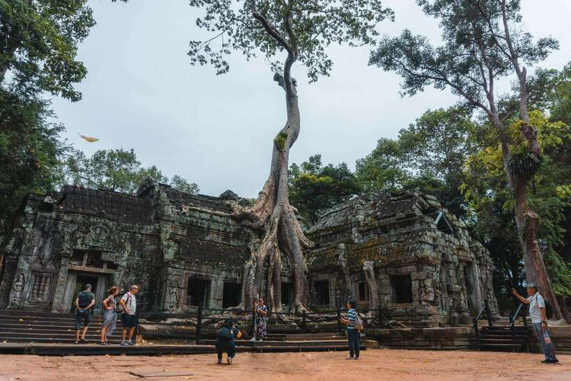 Siem Reap: Angkor Wat Small-Group Full Day Tour and Sunset - Ta Prohm: trees and roots that feel like part of the monument
