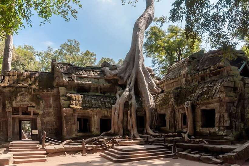 Siem Reap: Angkor Wat Sunrise and Full-Day Sightseeing Tour - Ta Prohm: the Tomb Raider temple with crowd-smart routing