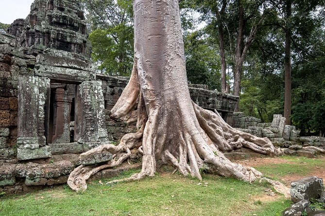 Siem Reap: Angkor Wat Sunrise Bike Tour & Jungle Breakfast - How hard is the biking, really? Sandy paths, hills, and the 10-hour day