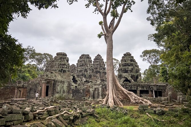 Siem Reap: Angkor Wat Sunrise Bike Tour & Jungle Breakfast - The chef-prepared jungle breakfast picnic in a calm forest