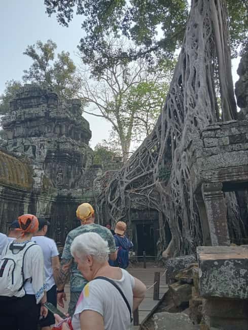 Siem Reap: Angkor Wat Tour with Italian-Speaking Guide - What the 1-day plan gets you, and what it costs you