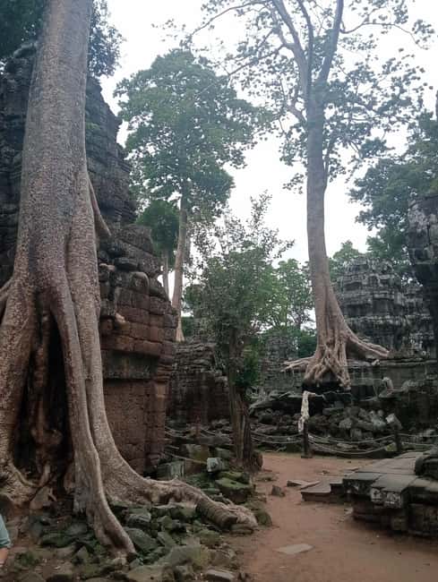 Siem Reap: Angkor Wat Tour with Italian-Speaking Guide - 2-day Extended Tour: sunrise, Grand Circuit, and Banteay Srei