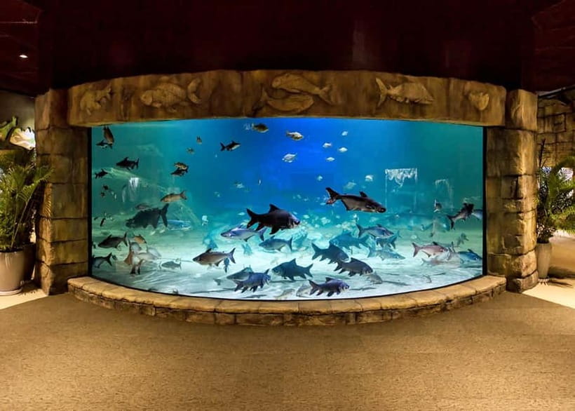 Siem Reap: Angkor Wildlife & Aquarium Entrance Ticket - Key highlights worth your attention