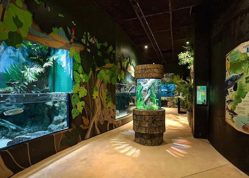 Siem Reap: Angkor Wildlife & Aquarium Entrance Ticket - Wildlife sanctuary walk-through, rescued otters and local reptiles