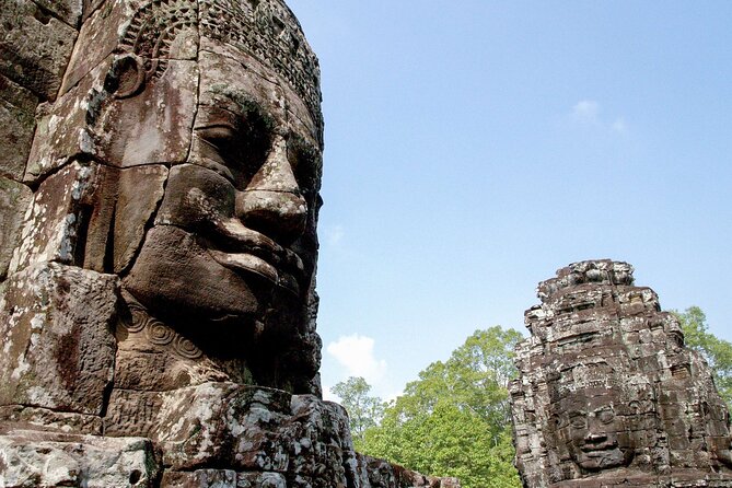 Siem Reap: Bike the Angkor Temples - Full-Day 30km Tour - Ta Prohm, where the trees make the ruins feel alive